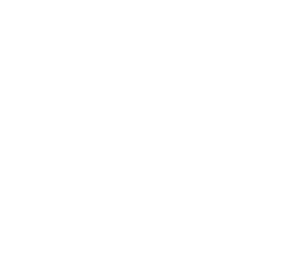 dynamicaudio.us